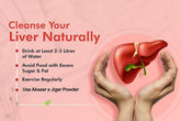 The Most Effective Plant Based Powder for Fatty Liver