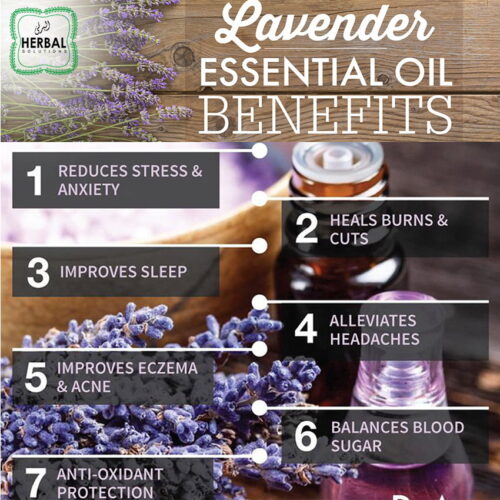 Buy 100% Pure Natural Lavender Oil in Pakistan for Major Diseases